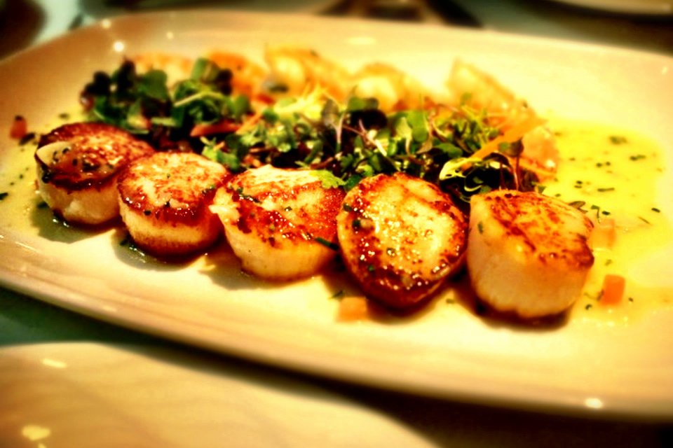 Seared Scallops - Blue Water Cafe